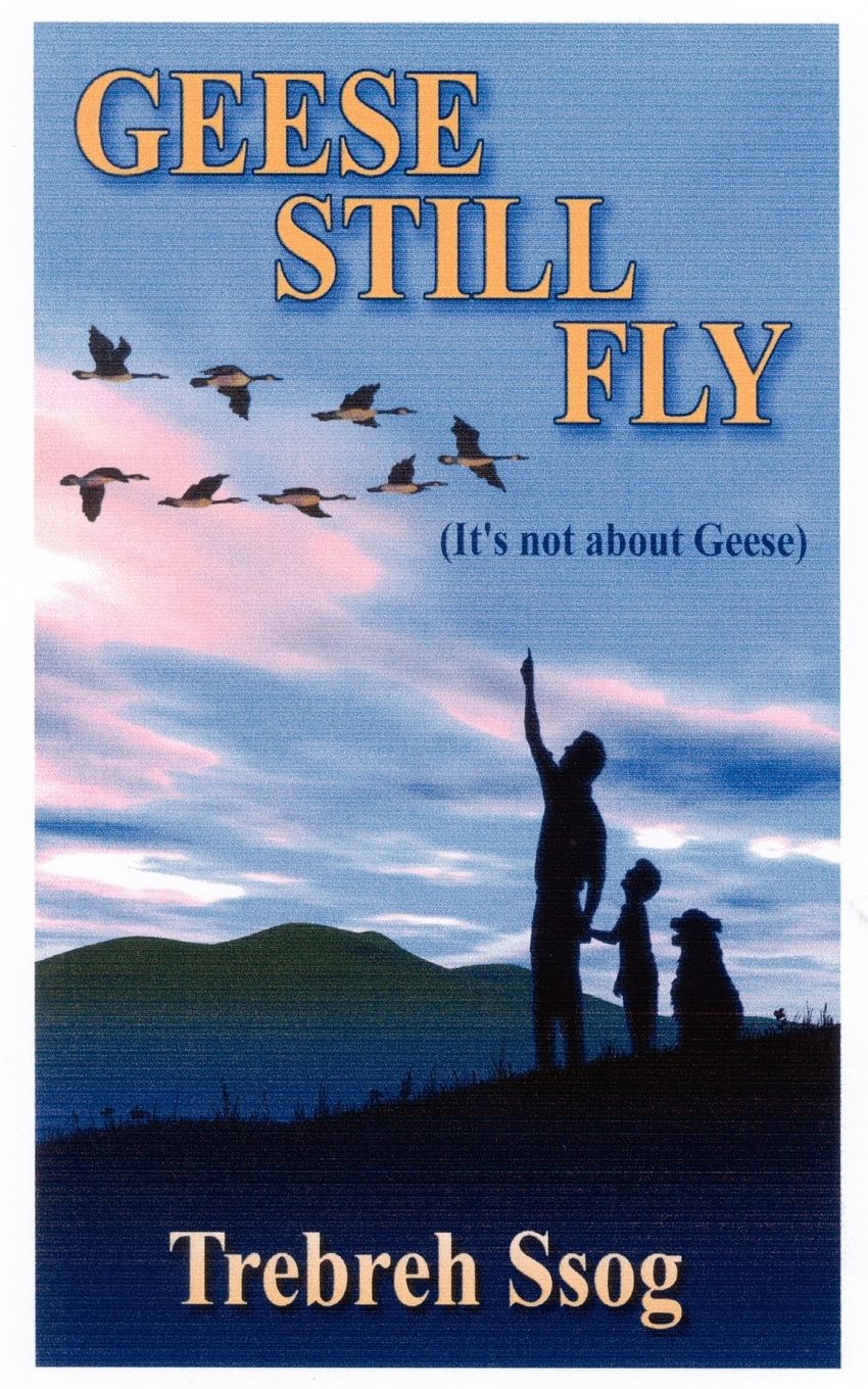 【预售 按需印刷】geese still fly
