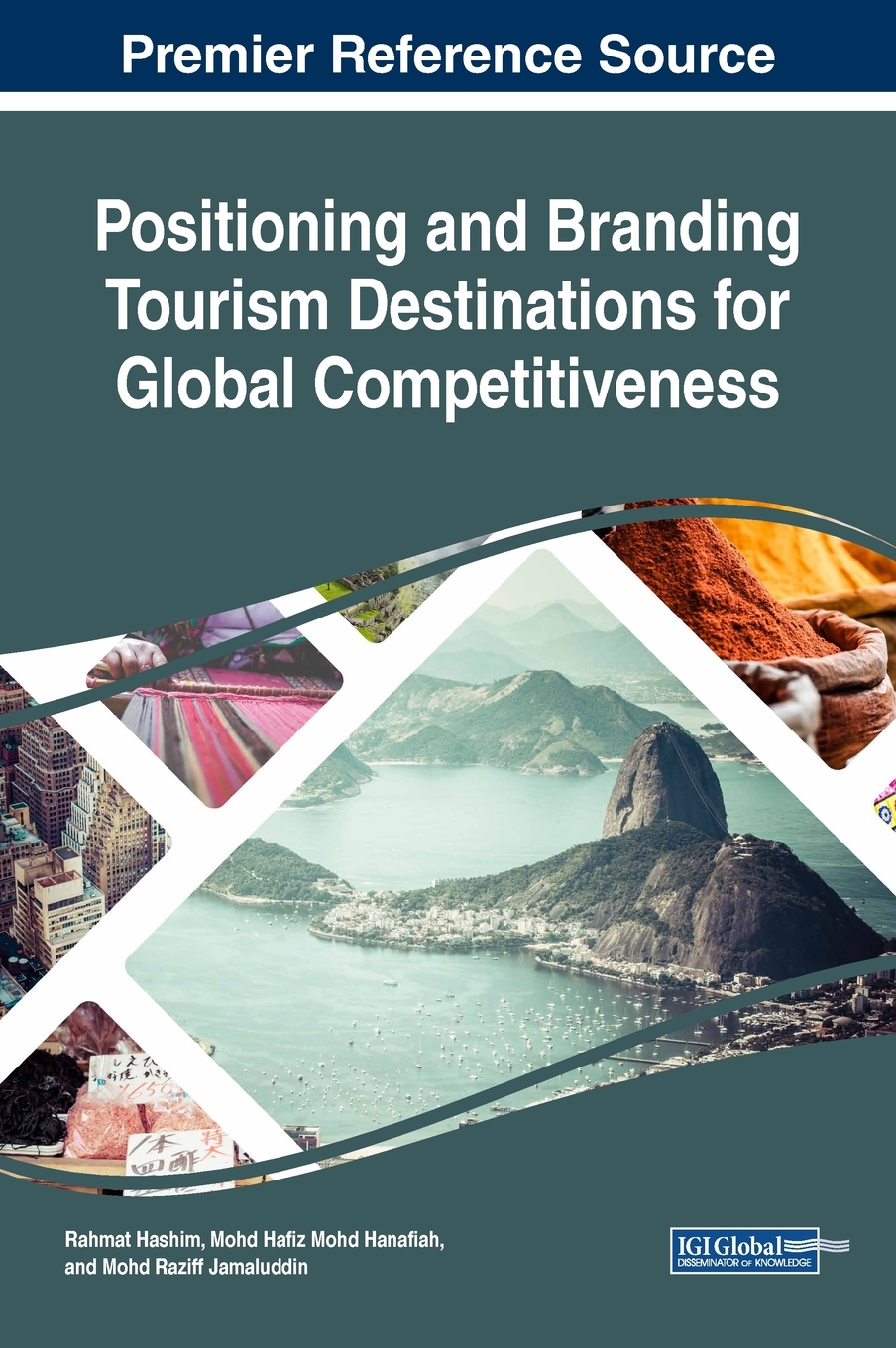 【预售按需印刷】Positioning and Branding Tourism Destinations for Global Competitiveness