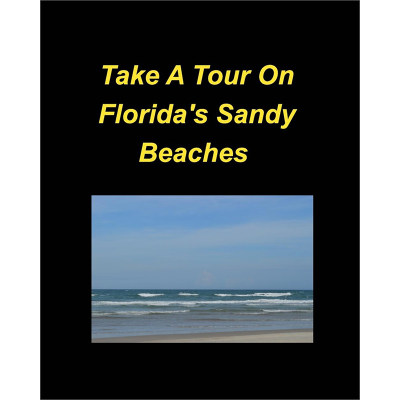 预售 按需印刷  Take A Tour On Florida's Sandy Beaches