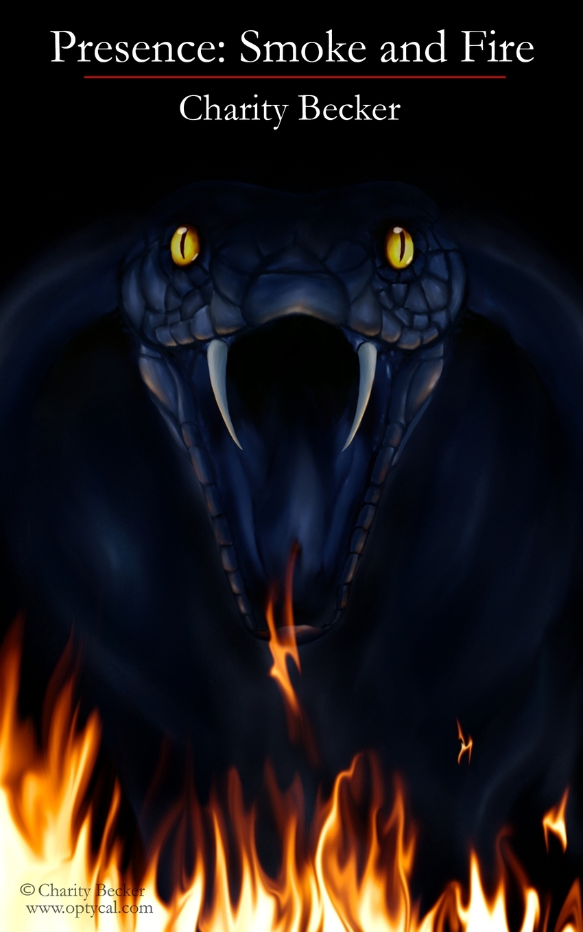 【预售 按需印刷】presence smoke and fire