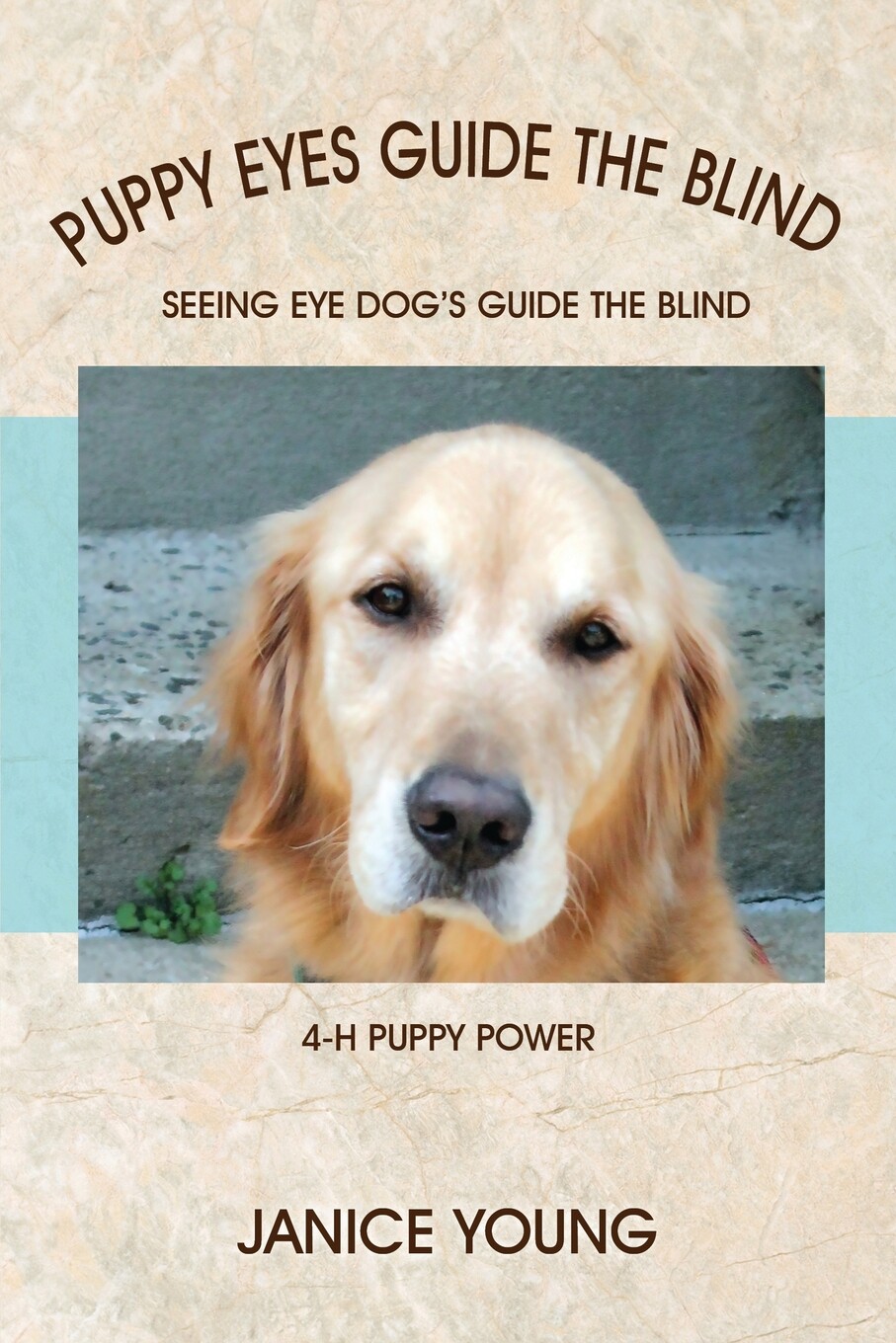 【预售 按需印刷】puppy eyes guide the blind