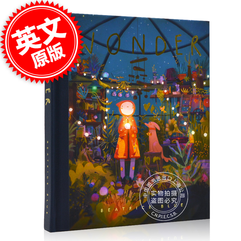 奇迹 碧翠丝·布鲁插画艺术画册练习稿 英文原版 西班牙插画师 童趣