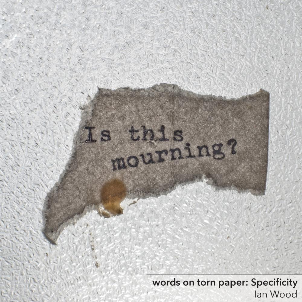 【预售按需印刷】words on torn paper