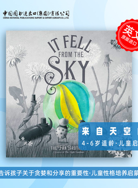 The Fan Brothers It Fell from the Sky 来自天空的你 英版平装 英文原版 精品绘本 儿童故事 Eric Fan 4-6岁