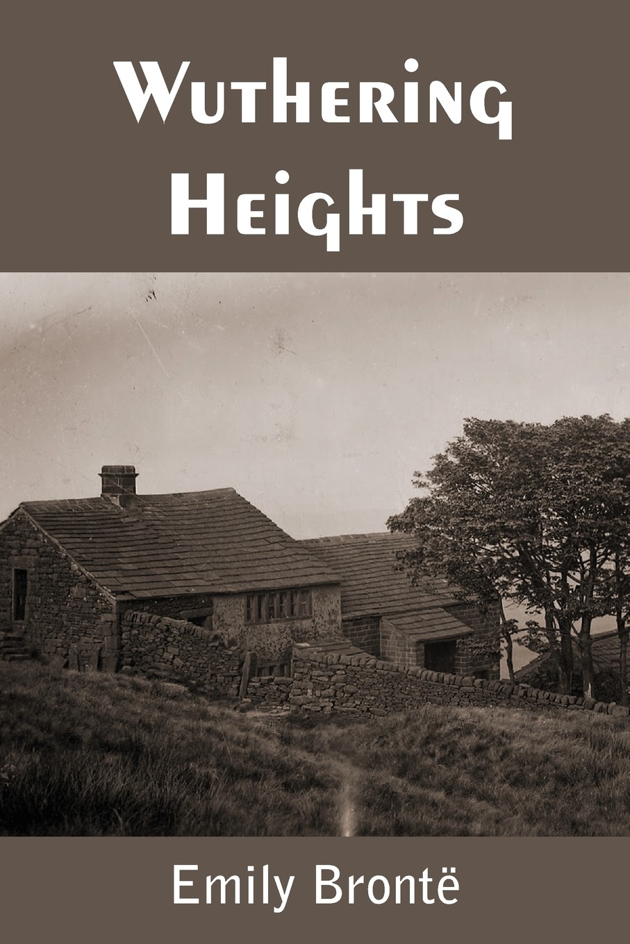 【预售 按需印刷】wuthering heights
