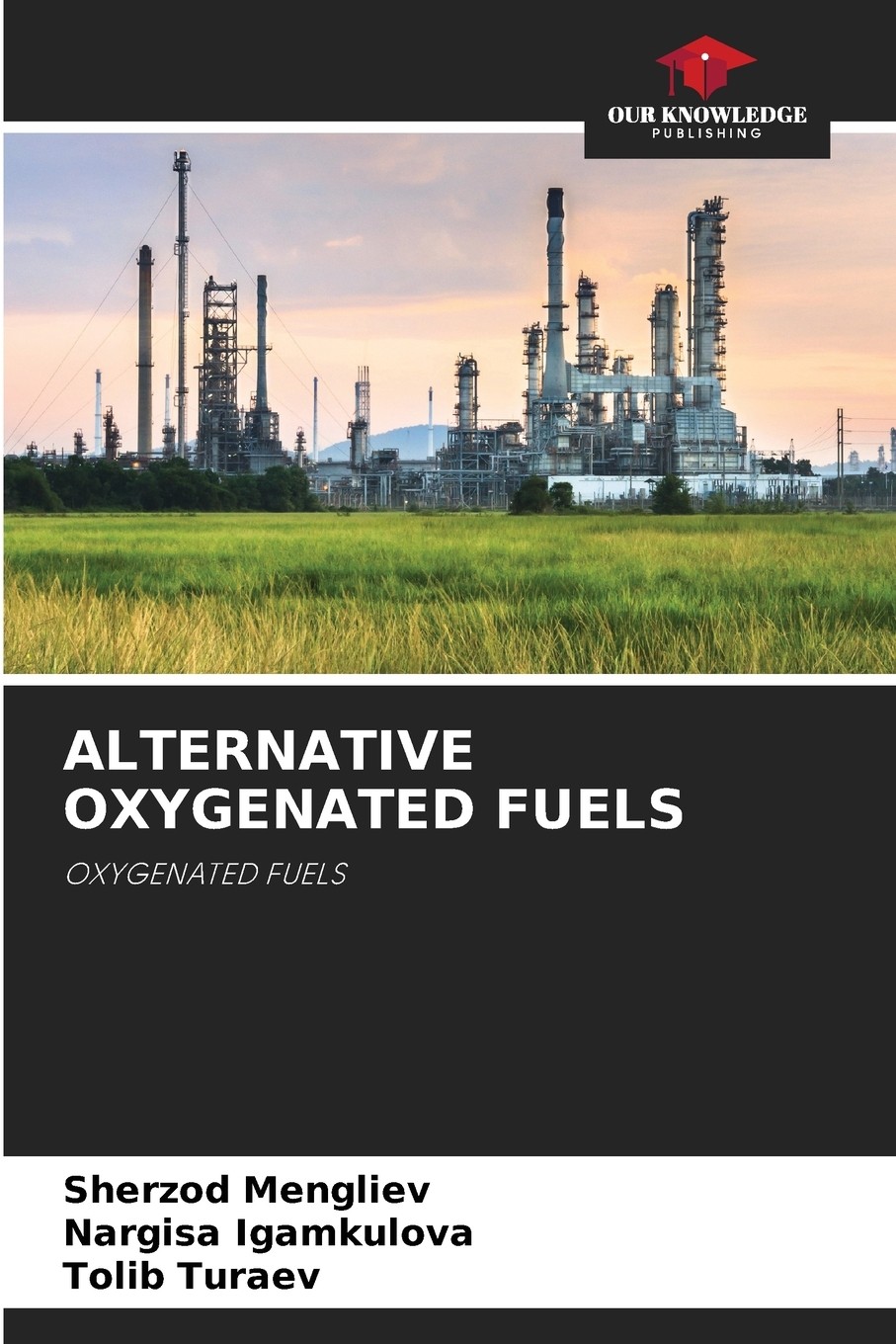 预售 按需印刷 alternative oxygenated fuels