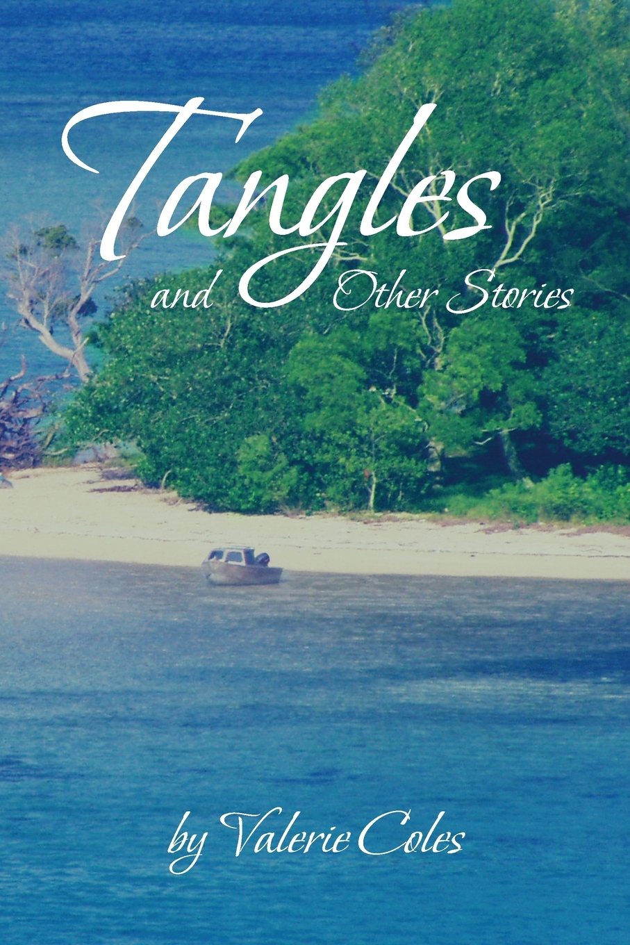 【预售按需印刷】Tangles and Other Stories by Valerie Coles-封面