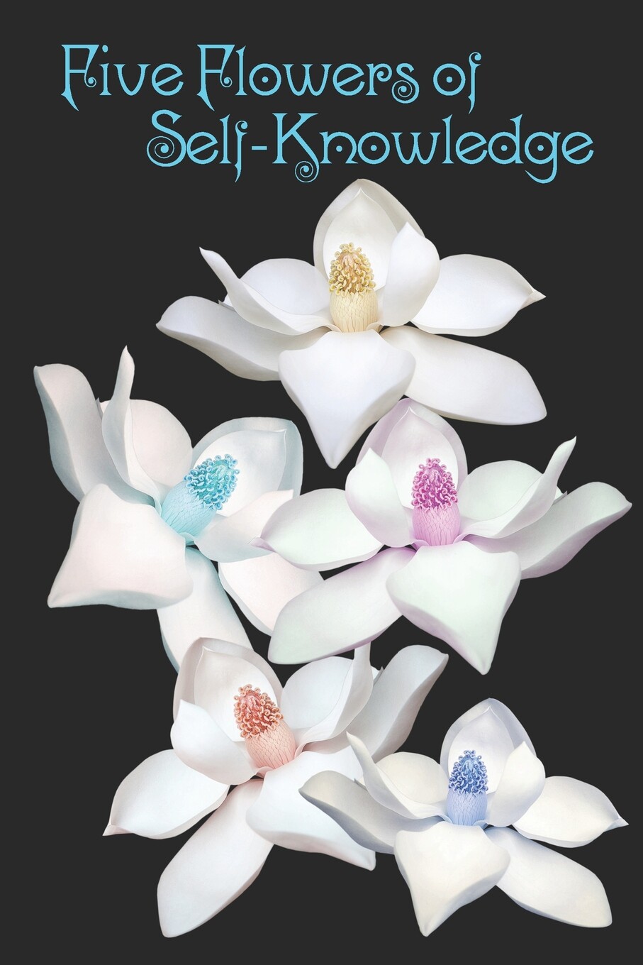 预售 按需印刷 five flowers of self-knowledge