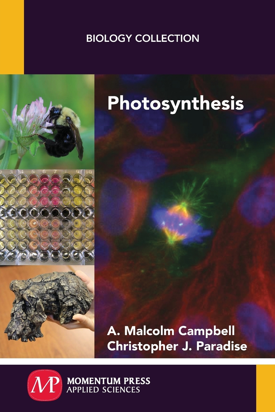 【预售按需印刷】Photosynthesis