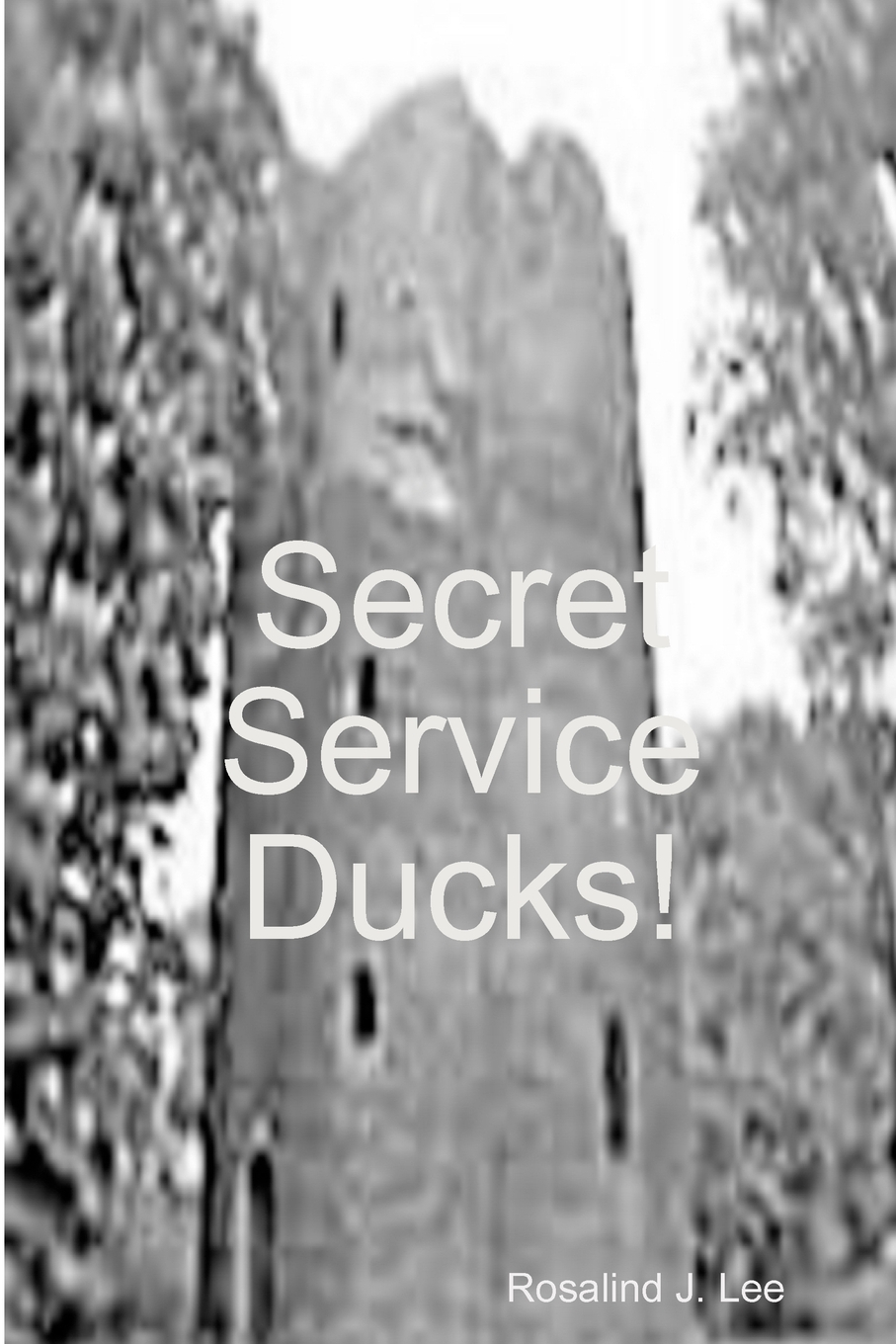 【预售按需印刷】Secret Service Ducks!