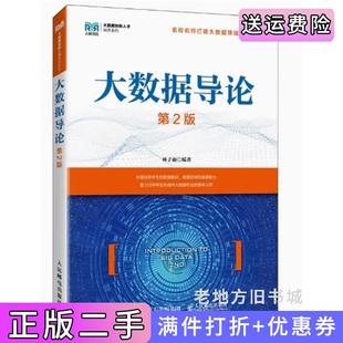 二手正版大数据导论第2版第二版林子雨人民邮电出版社