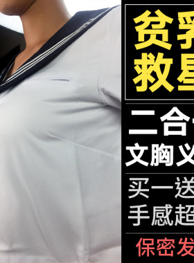 硅胶内衣假胸假乳房cd义乳文胸