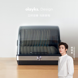 olayks立时消毒柜家用迷你小型紫外线碗筷茶杯奶瓶台式烘干器