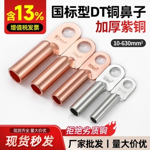 DT铜鼻子接线端子电线铜线鼻子镀锡堵油铜接头25/35/50平方铜线耳