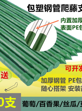 爬藤植物架子花架园艺支架包塑钢管支撑杆豆角番茄葡萄架庭院瓜架