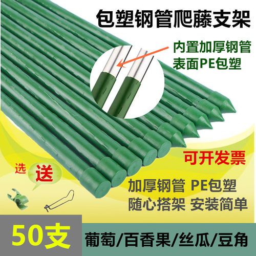 爬藤植物架子花架园艺支架包塑钢管支撑杆豆角番茄葡萄架庭院瓜架