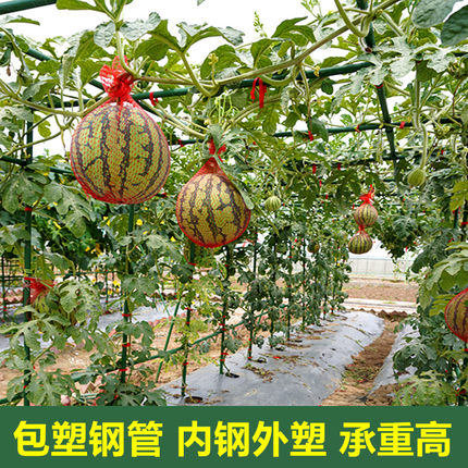 长方型爬藤园艺支架包塑钢管支撑杆西瓜百香果高承重葡萄种植花架