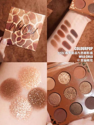 绝版正品Colourpop九色眼影盘WILD CHILD花子野孩子