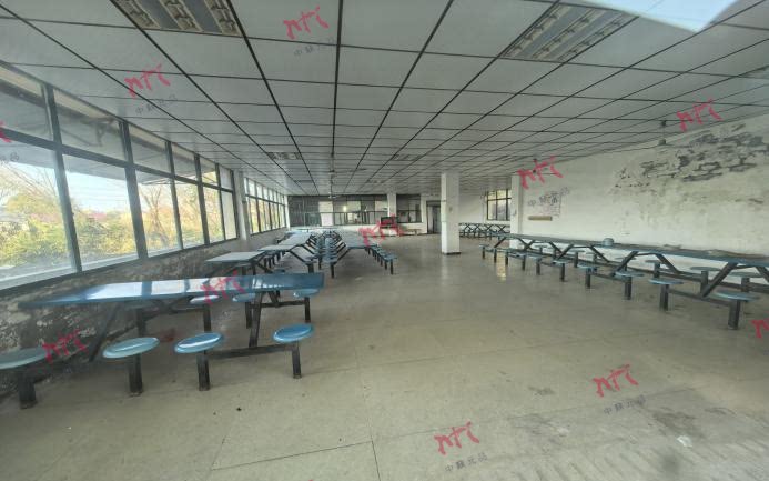 3月30日宜春阳光服饰织造公司一宗工业用地使用权、地上已办理产权证的建筑物及未办理产权证的建筑物、构筑物、附属设施、苗木网络拍卖公告