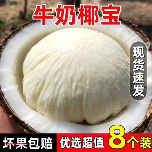 海南海口风味椰宝水果