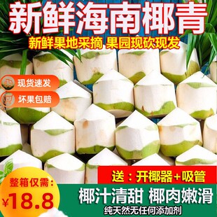 海南文昌特产去皮椰青9个超大果整箱椰子新鲜孕妇补羊水当季水果