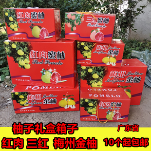 空纸箱】节日送礼 梅州金柚 白肉 红肉蜜柚三红蜜柚专用 柚子礼盒