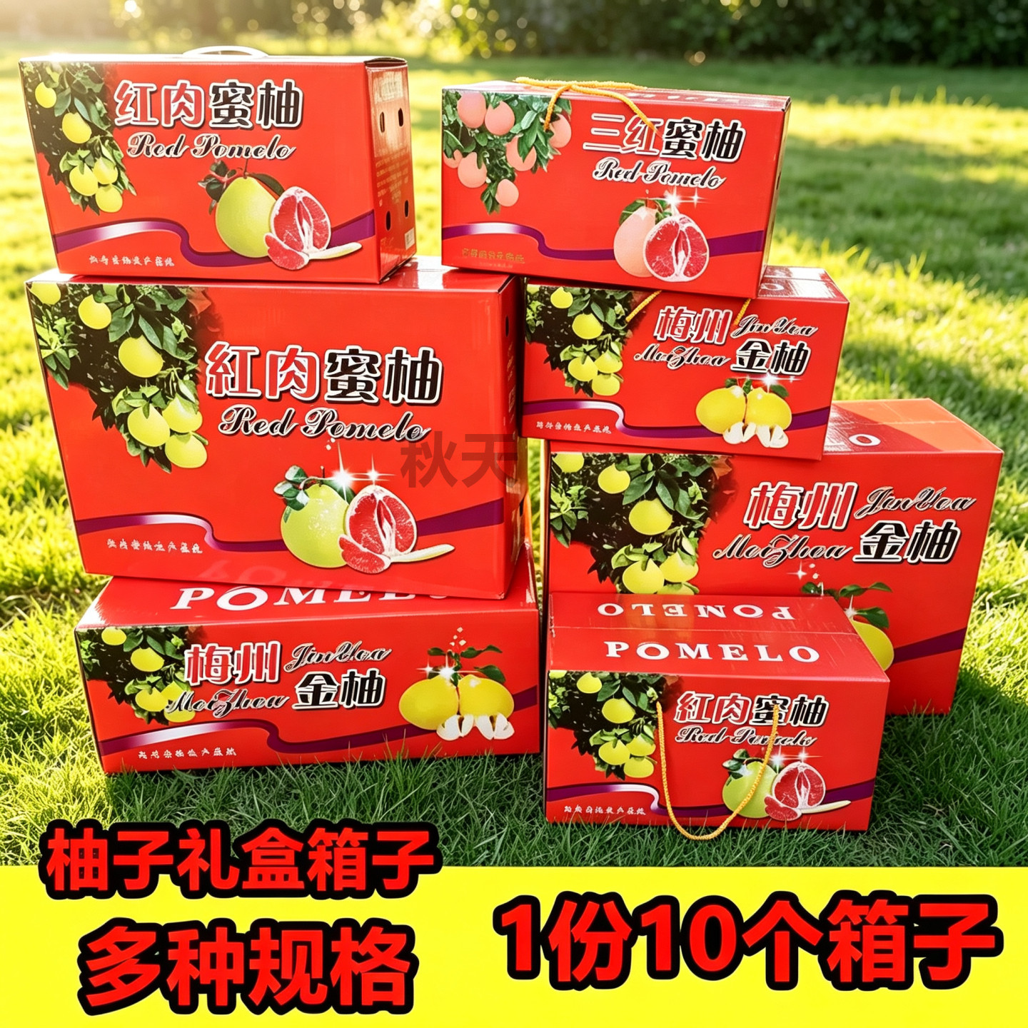 空纸箱】节日送礼 梅州金柚 白肉 红肉蜜柚三红蜜柚专用 柚子礼盒