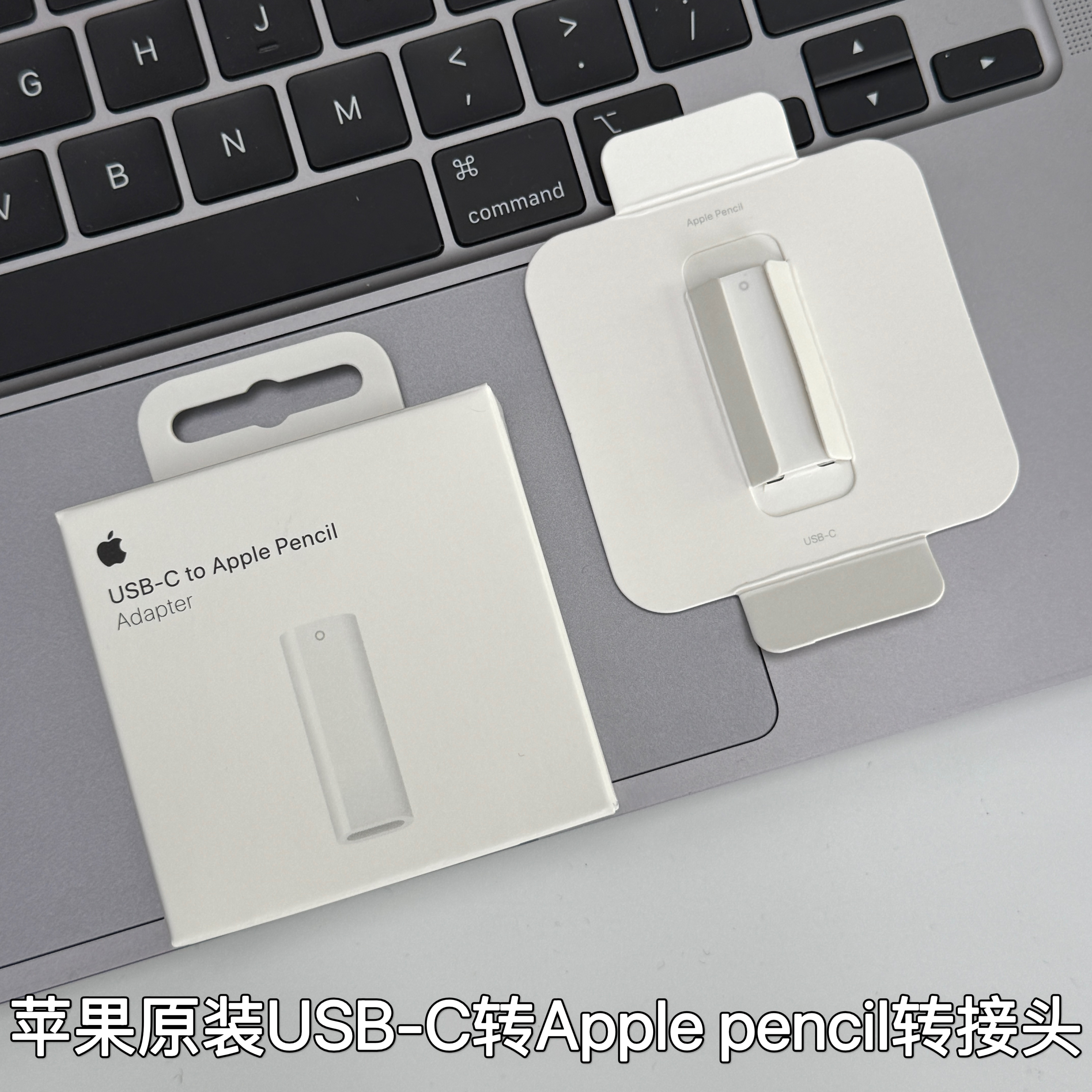 适用Apple/苹果USB-C 转 Apple Pencil 转换器 一代笔转换器 原装