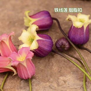 铃铛铁线莲 德克萨斯组 胭脂扣 天使首饰 万花筒 玉 绯红公主残月