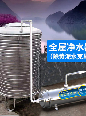 家用地下井水过滤器反冲洗净水器