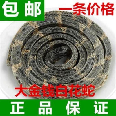 大金钱白花蛇一条包邮百花蛇内有小白花蛇乌梢蛇蕲蛇眼镜蛇蝮蛇等