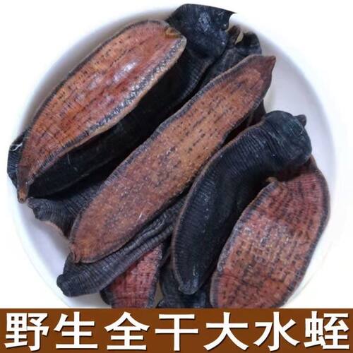 干中药蚂蟥干货金线全蝎包邮水蛭