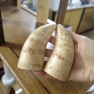 竹卦手工成品老竹卦羊角竹根圣杯一对竹根卦可选货支持订做