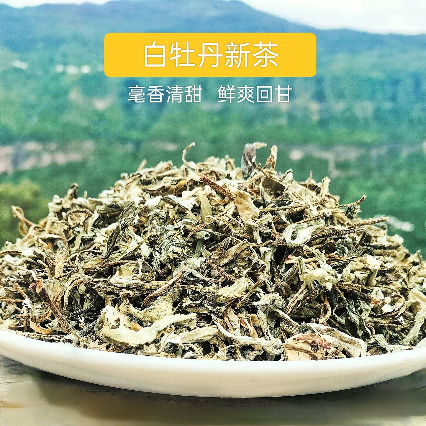 云南特色产区月光白茶高山白牡丹新茶250g毫香清甜白毛茶散茶春茶