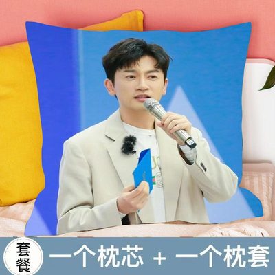 苏有朋抱枕周边公仔玩偶摆件车载用创意礼物女办公室沙发靠垫枕头