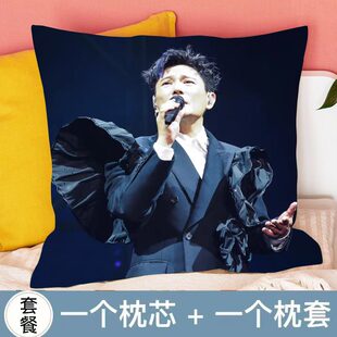 张信哲应援周边抱枕双面靠枕头车载玩偶演唱会定制办公室靠垫女生