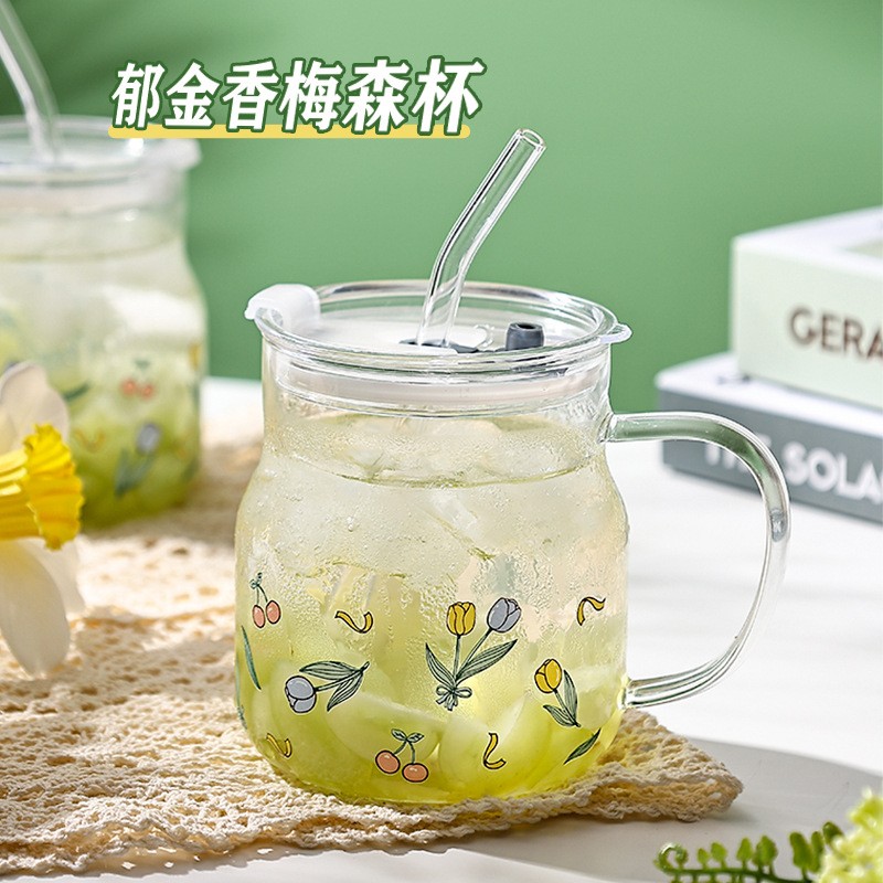 少女ins风高颜值郁金香高硼硅玻璃吸管杯耐高温家用水杯带手柄