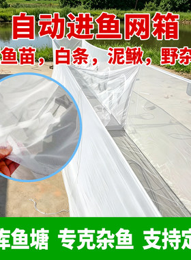 自动进鱼网箱水库鱼塘钓鱼渔网白色防水围布野杂鱼专克