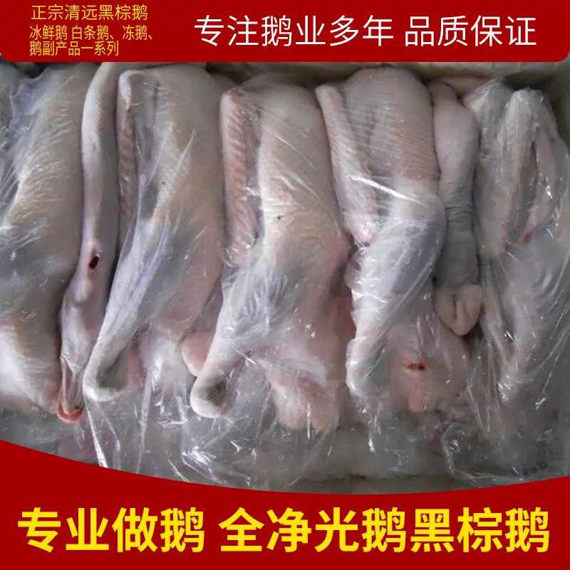 正宗清远黑棕鹅全净马岗鹅烧鹅焖鹅卤水鹅火焰醉鹅商用全规格,水产肉类/新鲜蔬果/熟食,鹅肉/鹅肉制品,淘宝优惠券,粉丝福利购,淘宝优惠卷