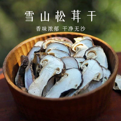 云南雪山人工松茸干货煲汤鲜美