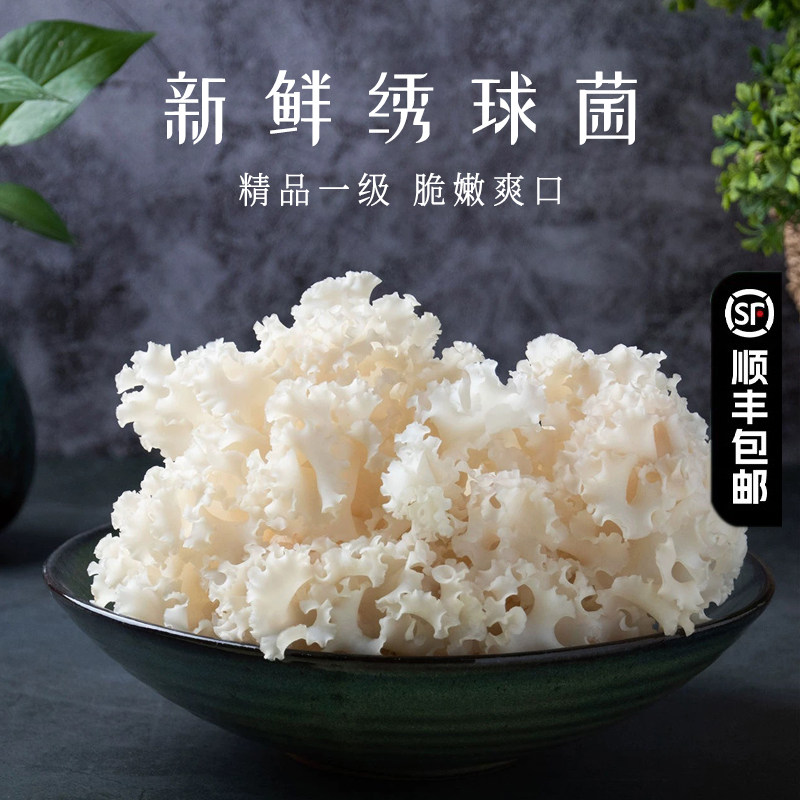 新鲜绣球菌古田特产新鲜绣球菇食用菌菇凉拌煲汤火锅酒店食材蘑菇图片