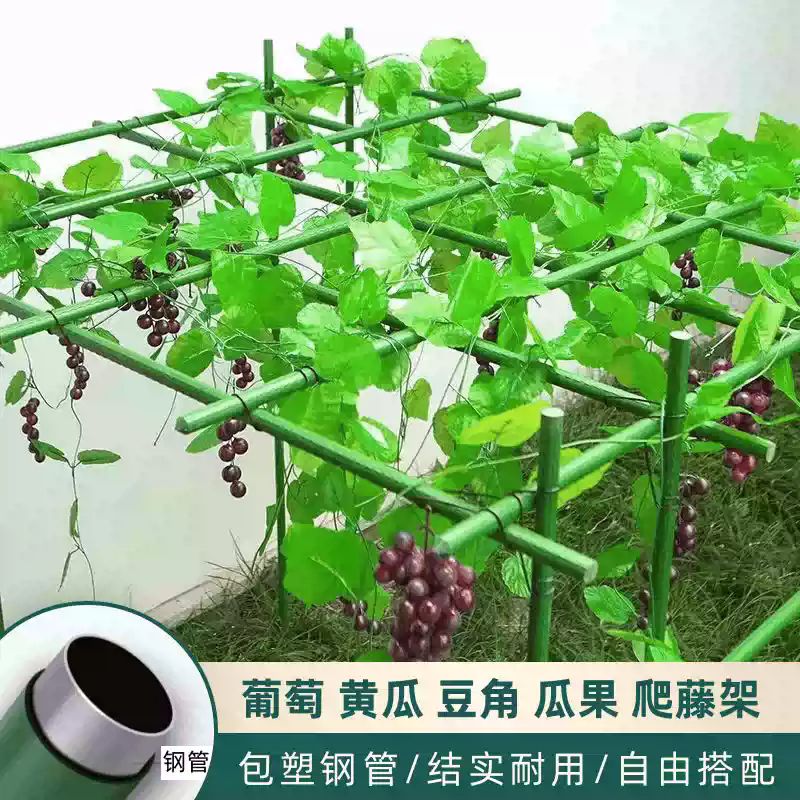 大棚包塑钢管支架可搭配遮阳防虫网阳台暖房多肉花卉蔬菜攀爬棚架