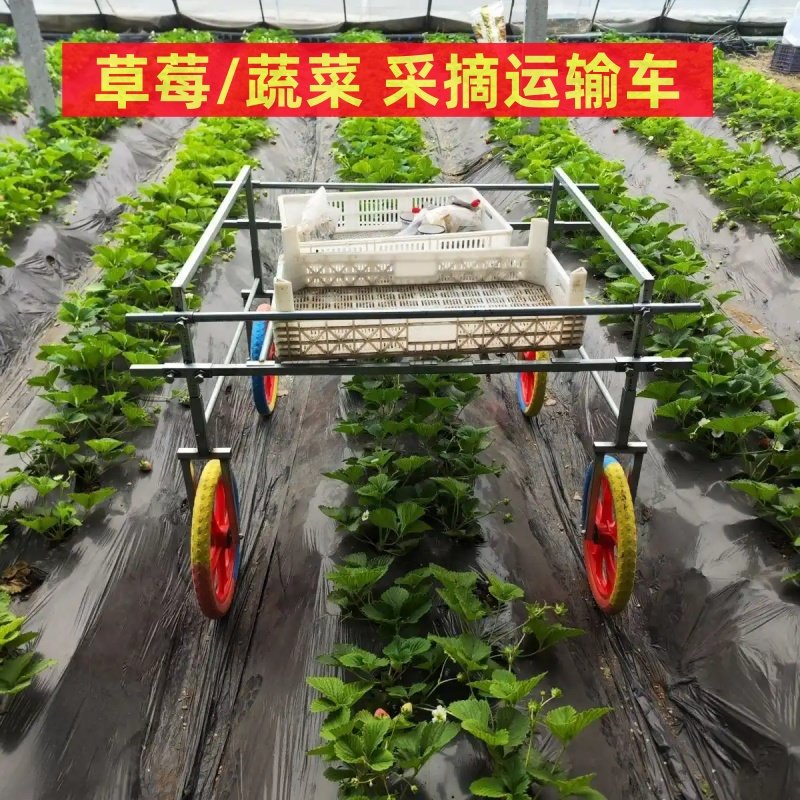 草莓采摘运输车农用双轮手推车蔬菜采摘车大棚农用瓜果运输小推车,农机/农具/农膜,农用采摘平台,淘宝优惠券,粉丝福利购,淘宝优惠卷