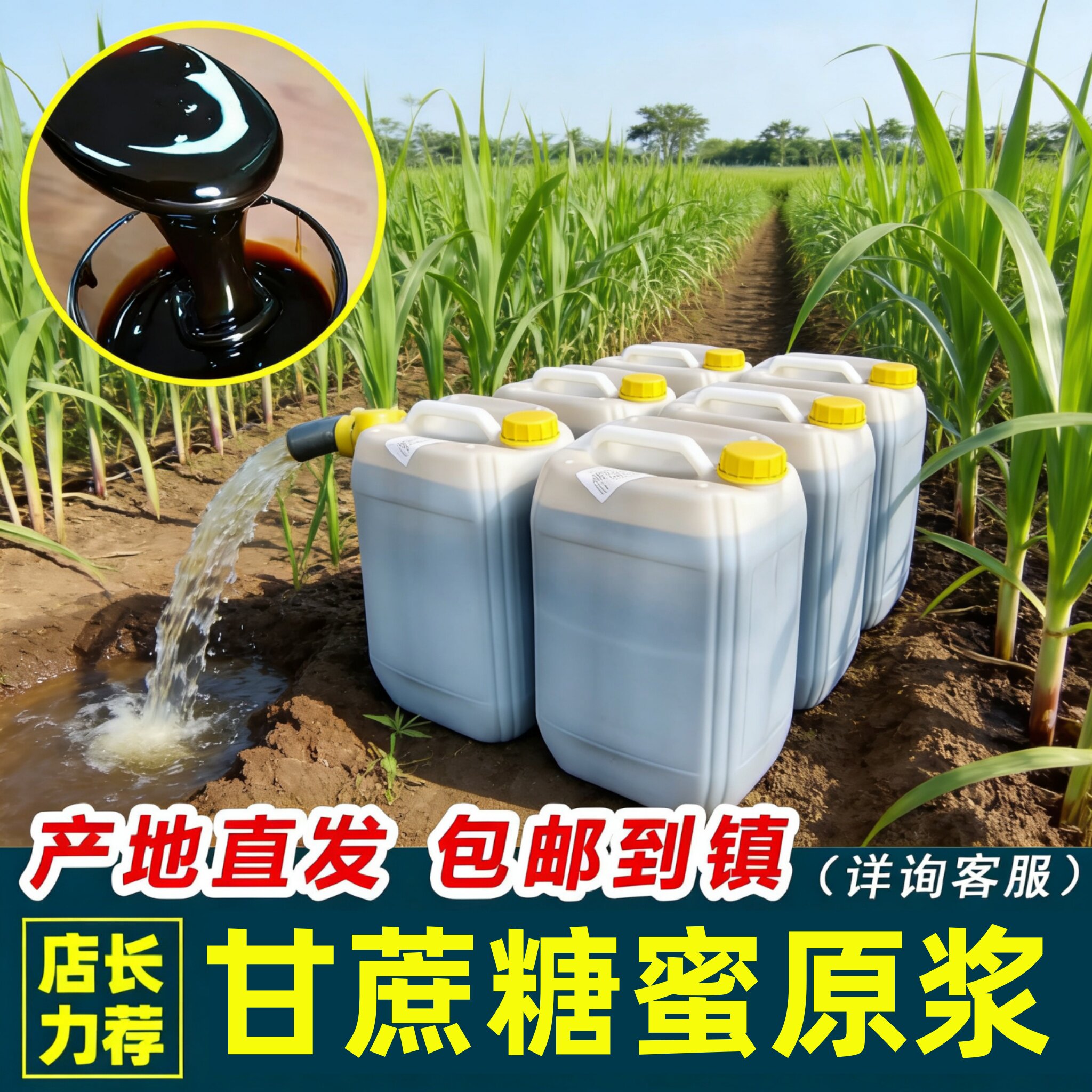 广西甘蔗糖蜜有机肥种植水产肥水