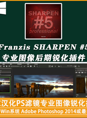 PS滤镜专业图像锐化插件Franzis SHARPEN projects#5professional