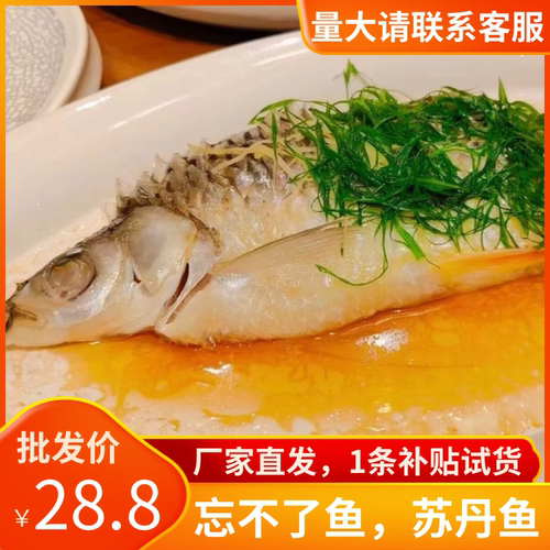马来忘不了鱼鲜活冷冻苏丹鱼皇帝鱼开背淡水鱼酒店餐厅宴席商用
