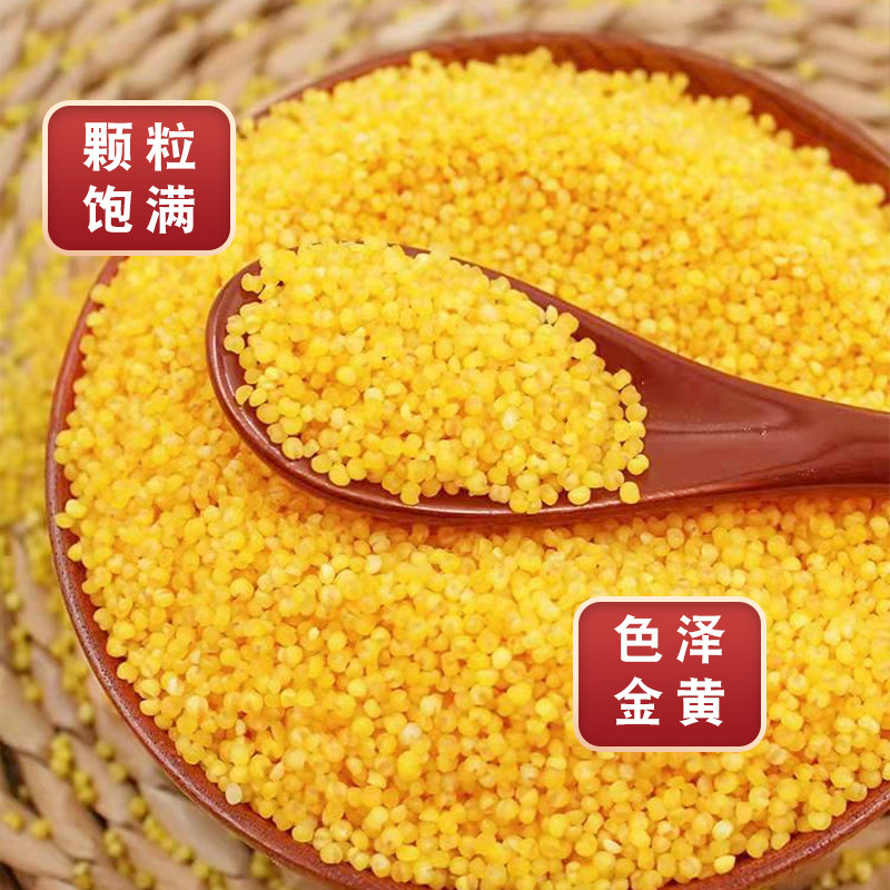 小米粥杂粮大米新米2021年新米杂粮黄小米新米三色糙米小黄米小米