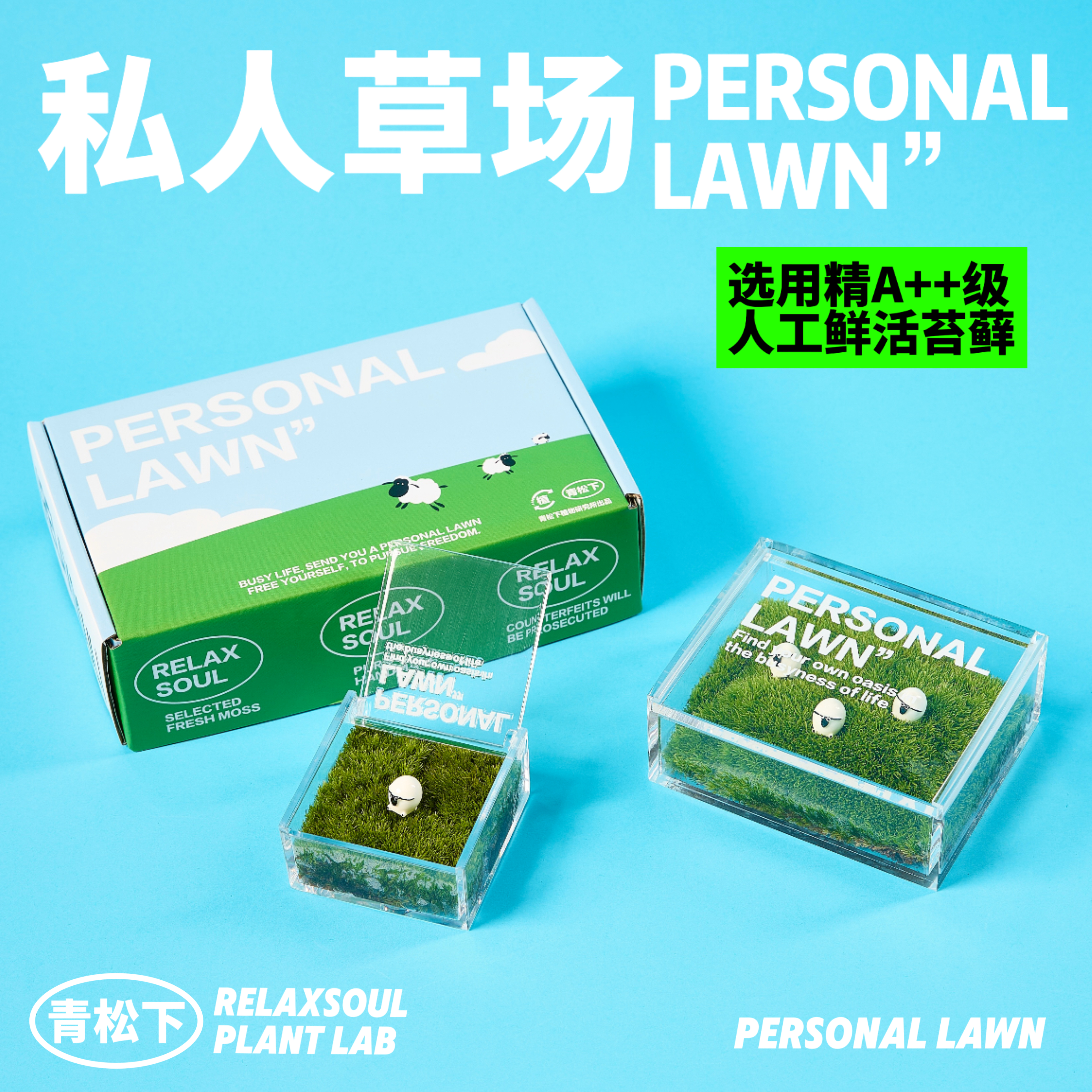 青松下-私人草坪苔藓微景观室内办公室桌面绿植盆栽解压创意礼物
