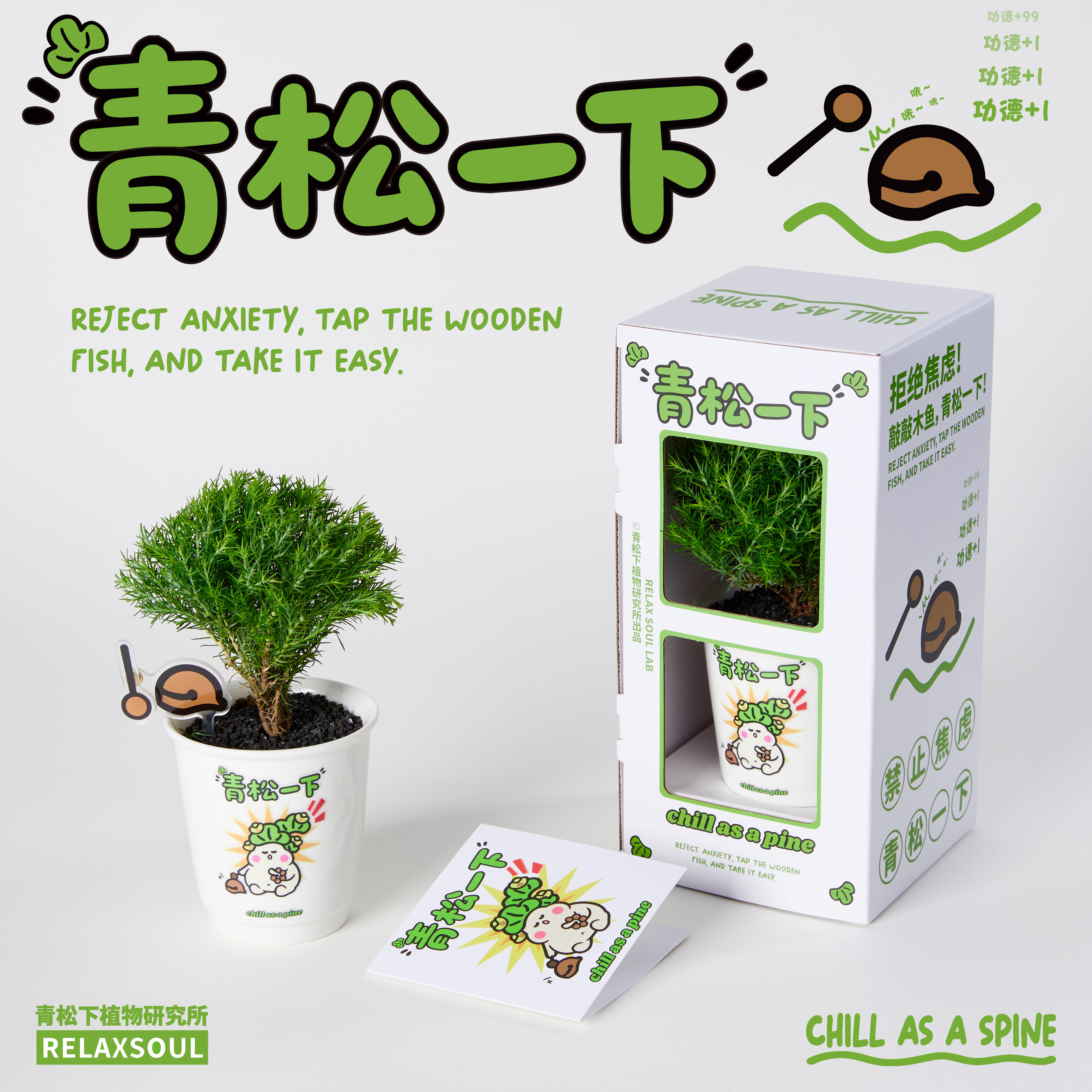 青松下-青松一下雾松罗汉松盆栽办公室桌面绿懒人好养植创意礼物