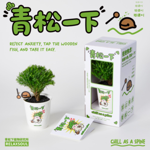 青松下-青松一下雾松罗汉松盆栽办公室桌面绿懒人好养植创意礼物